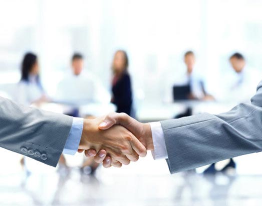 Two business professionals shaking hands